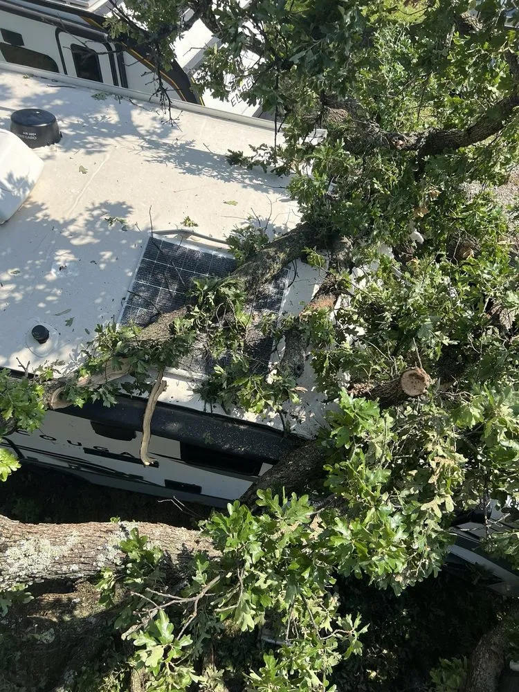 Reliable landscaping services in Thackerville, OK by Hendrixson Tree Service
