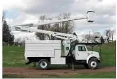 Local yard maintenance in Thackerville, OK - Hendrixson Tree Service