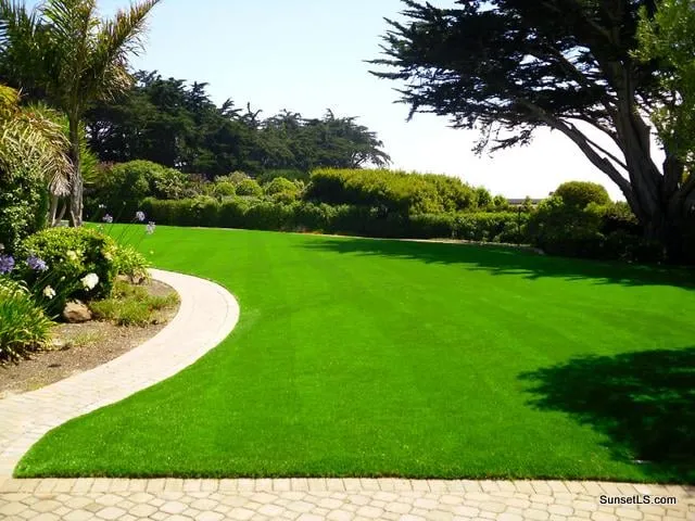 Custom residential landscaping for year-round maintenance in Deltona, FL by Hendy Turf