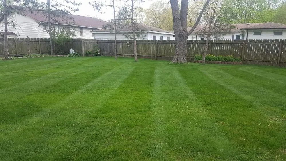 Professional lawn care service for residential properties across Saint Joseph, IL - Henkelman Lawn Care