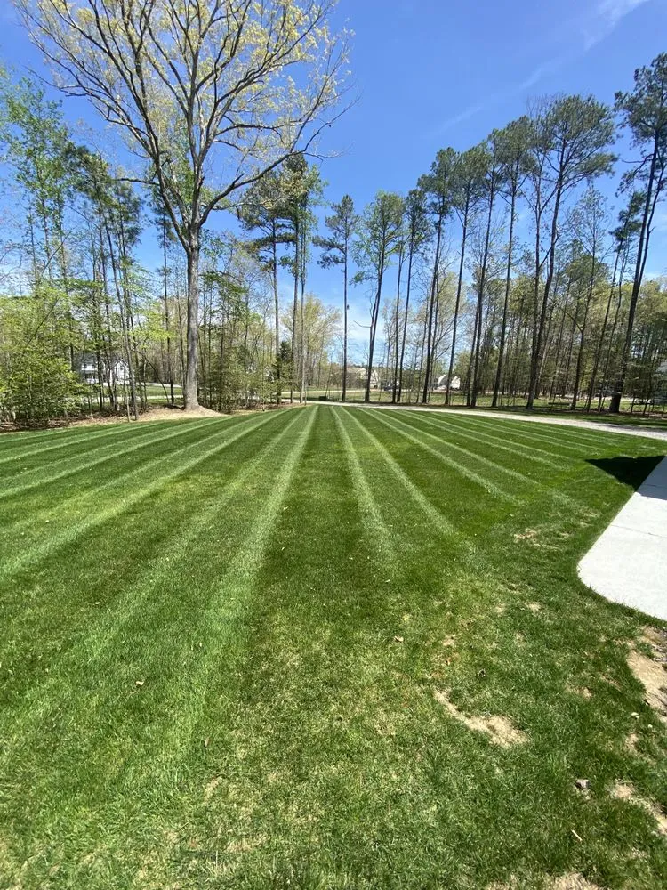 Custom lawn mowing service experts serving Chester, VA - Henley’s Curb Appeal