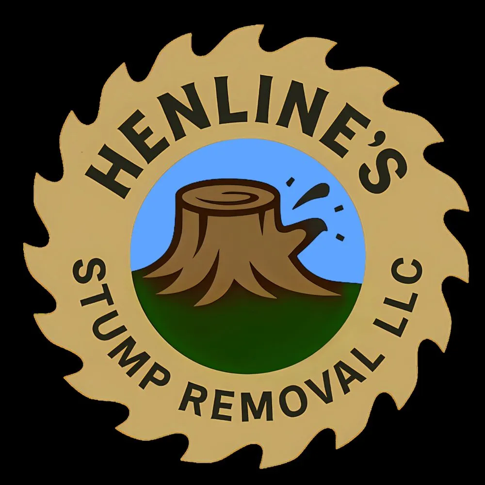 Reliable outdoor landscaping in Bendersville, PA - Henline's Stump Removal