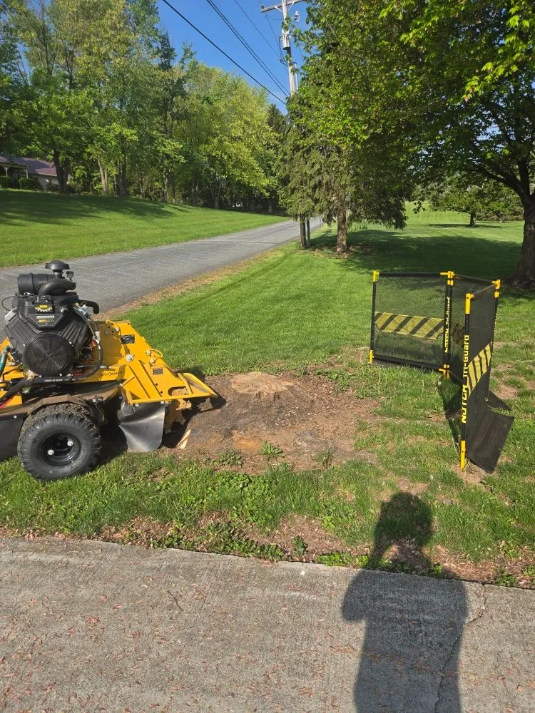 Top-rated yard maintenance in Bendersville, PA by Henline's Stump Removal