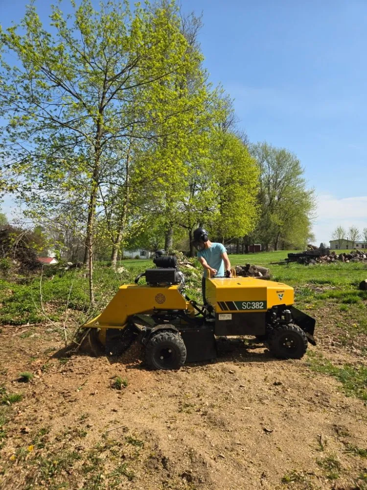 Professional yard cleanup service for outdoor upgrades in Bendersville, PA by Henline's Stump Removal