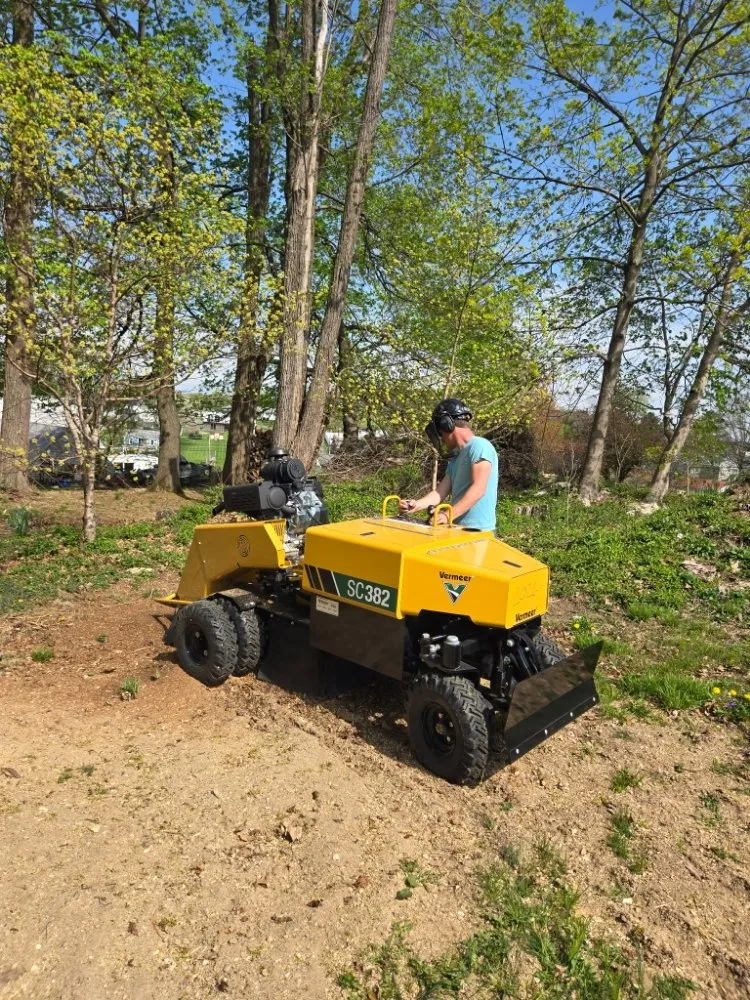 Reliable yard cleanup service in Bendersville, PA by Henline's Stump Removal