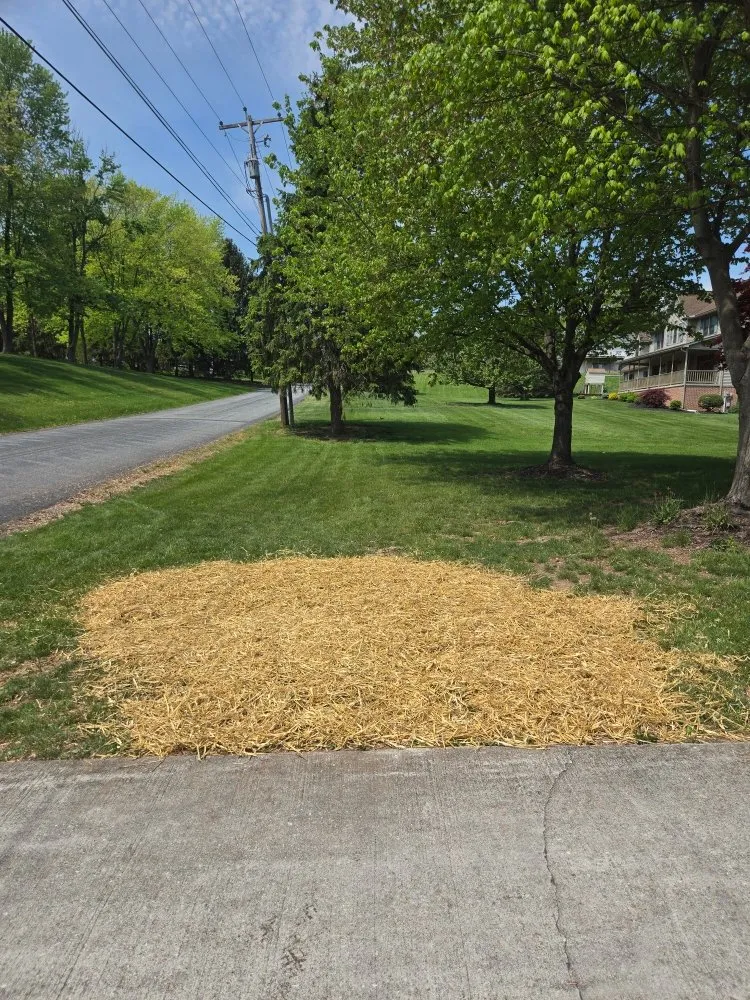 Professional residential landscaping for outdoor upgrades in Bendersville, PA by Henline's Stump Removal