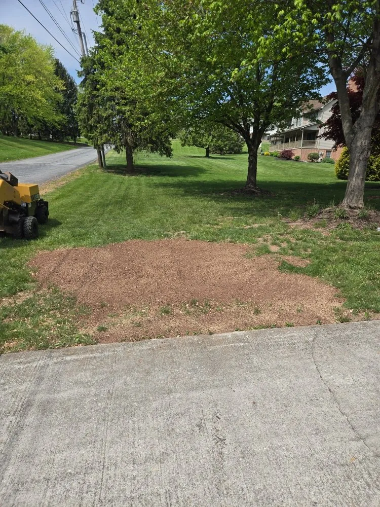 Affordable lawn care service with custom design in Bendersville, PA by Henline's Stump Removal
