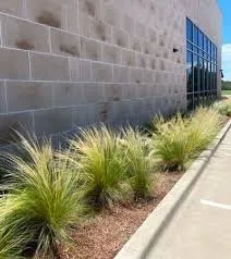 Top-rated lawn care service for year-round maintenance across Macon, GA - Henmoor Landscaping