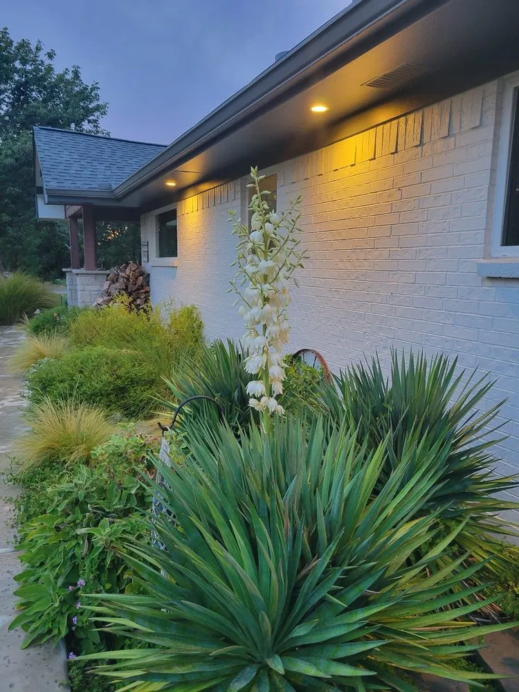 Affordable garden landscaping in Arlington, TX by Hennard Contracting