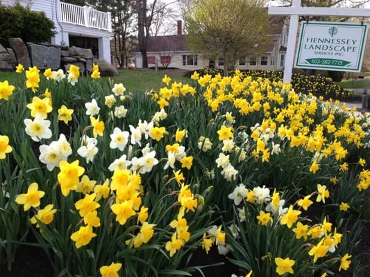 Hennessey Landscape Services Inc