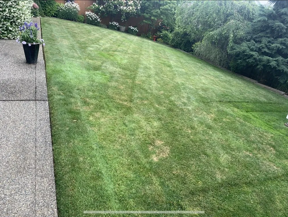 Affordable outdoor landscaping in Federal Way, WA - Henning & Sons