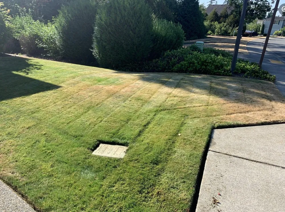 Trusted landscape design for homes in Federal Way, WA by Henning & Sons