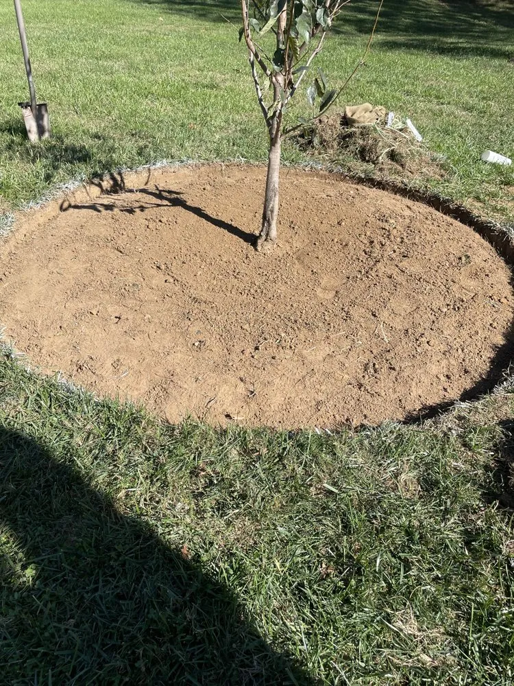 Expert landscape design for beautiful yards in Damascus, MD by Henriquez Landscaping