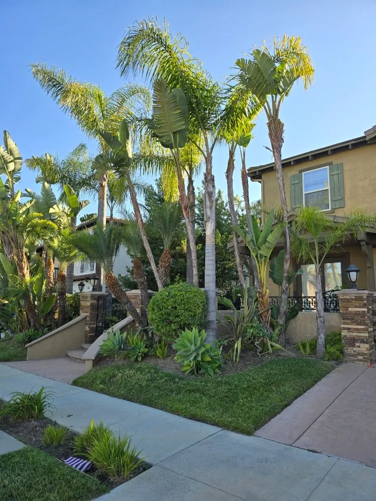 Reliable outdoor landscaping with custom design across Reseda, CA - Henriquez Landscaping