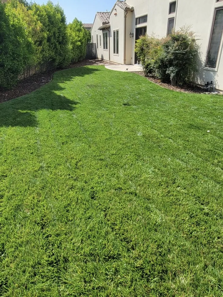 Reliable landscape design experts serving Reseda, CA - Henriquez Landscaping