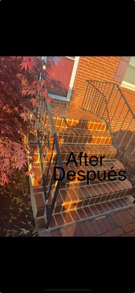 Local garden landscaping for beautiful yards across Fairmount Heights, MD - Henriquez Mansory