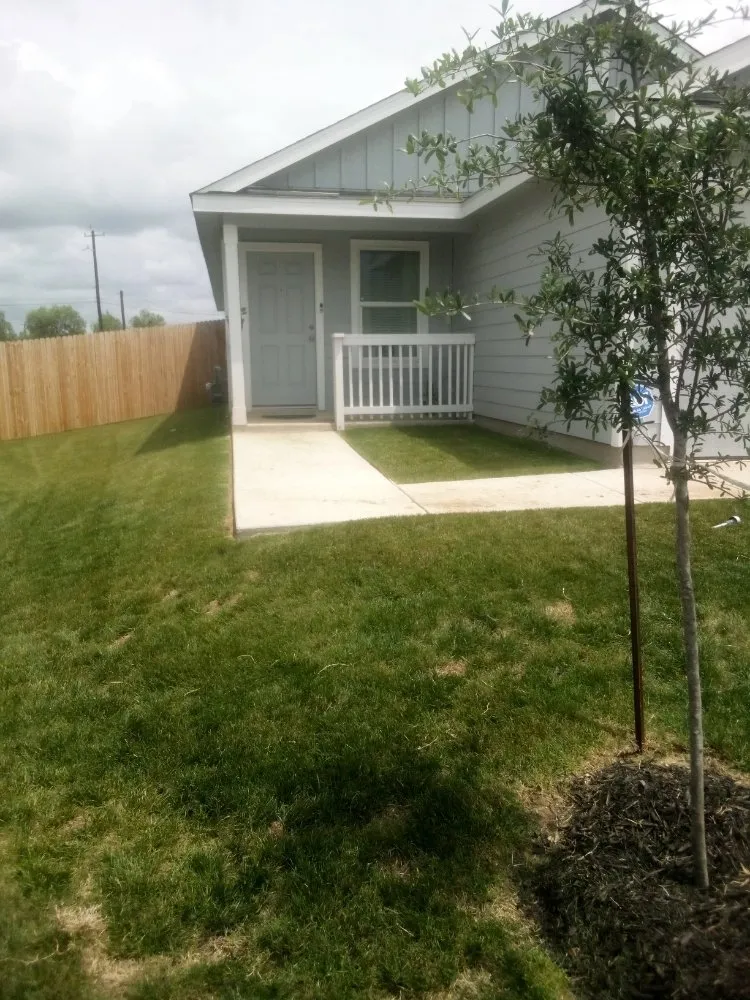 Expert yard maintenance in San Antonio, TX by Henry and Christina's Landscaping and Handyman Services