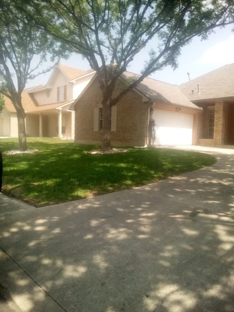 Trusted yard cleanup service for residential properties across San Antonio, TX - Henry and Christina's Landscaping and Handyman Services
