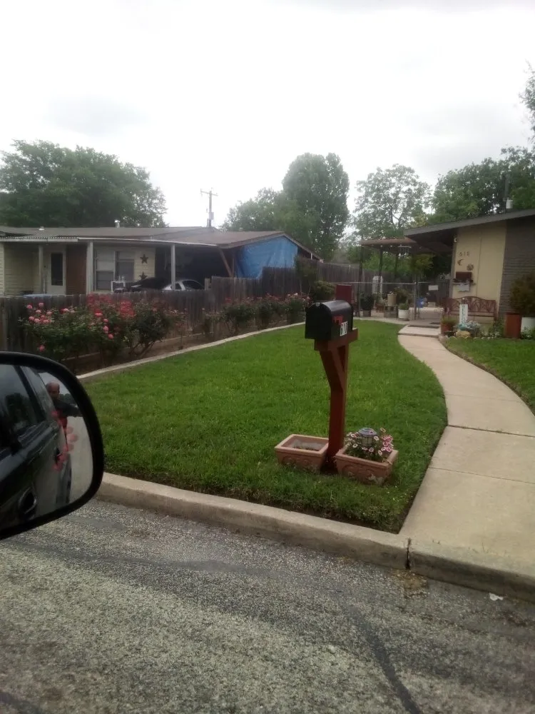 Reliable yard maintenance for year-round maintenance in San Antonio, TX by Henry and Christina's Landscaping and Handyman Services