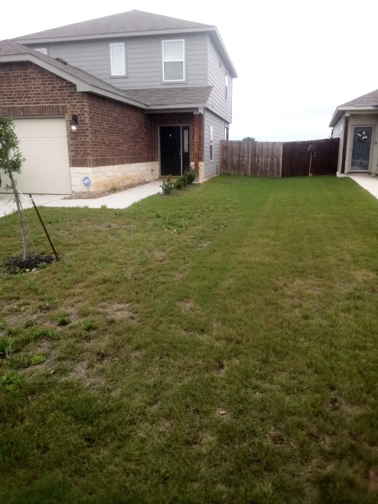 Expert garden landscaping experts serving San Antonio, TX - Henry and Christina's Landscaping and Handyman Services