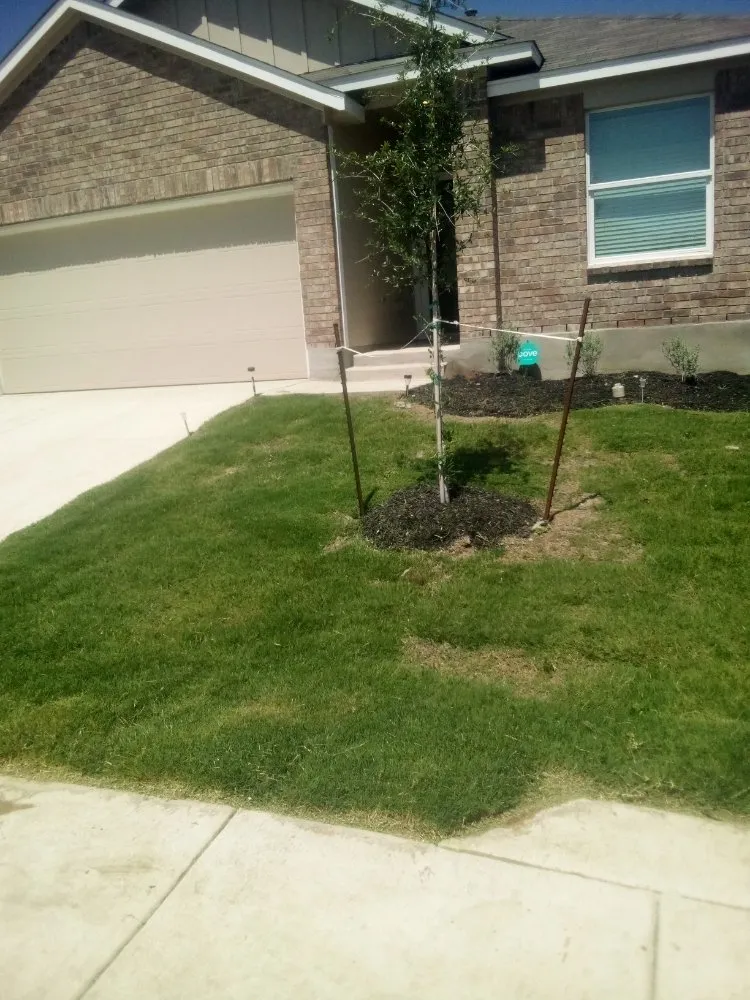 Top-rated residential landscaping in San Antonio, TX by Henry and Christina's Landscaping and Handyman Services