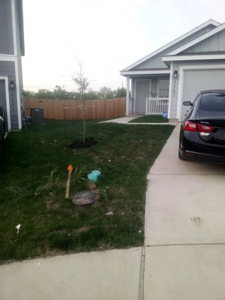 Professional yard cleanup service for year-round maintenance across San Antonio, TX - Henry and Christina's Landscaping and Handyman Services