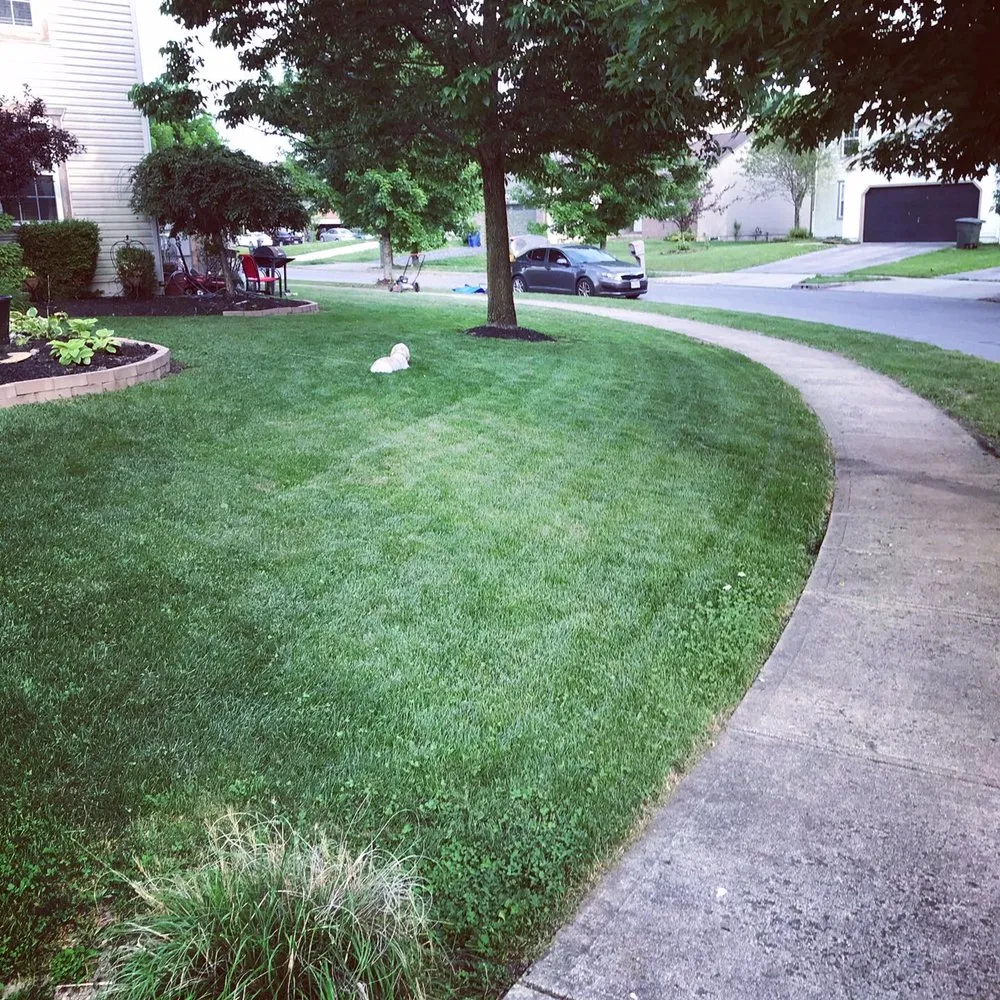 Custom landscaping services experts serving New Albany, OH - Henry and Mathis Landscaping