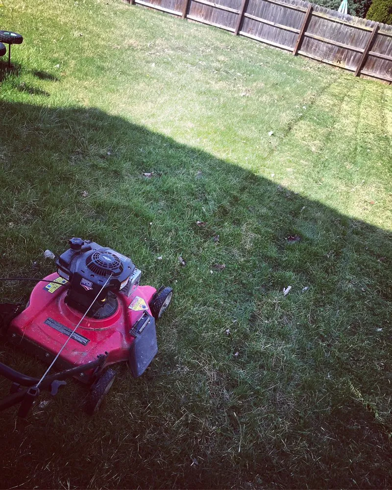 Professional landscaping services in New Albany, OH by Henry and Mathis Landscaping