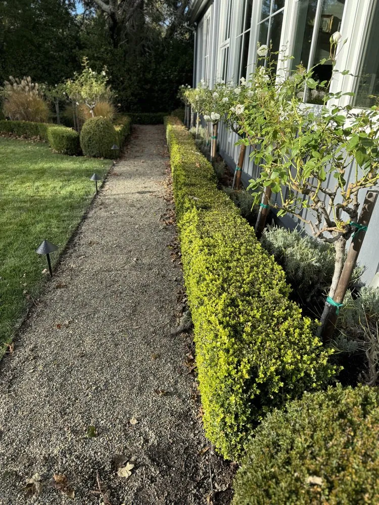 Trusted landscaping services experts serving San Rafael, CA - Henry Buder's Landscape Restoration