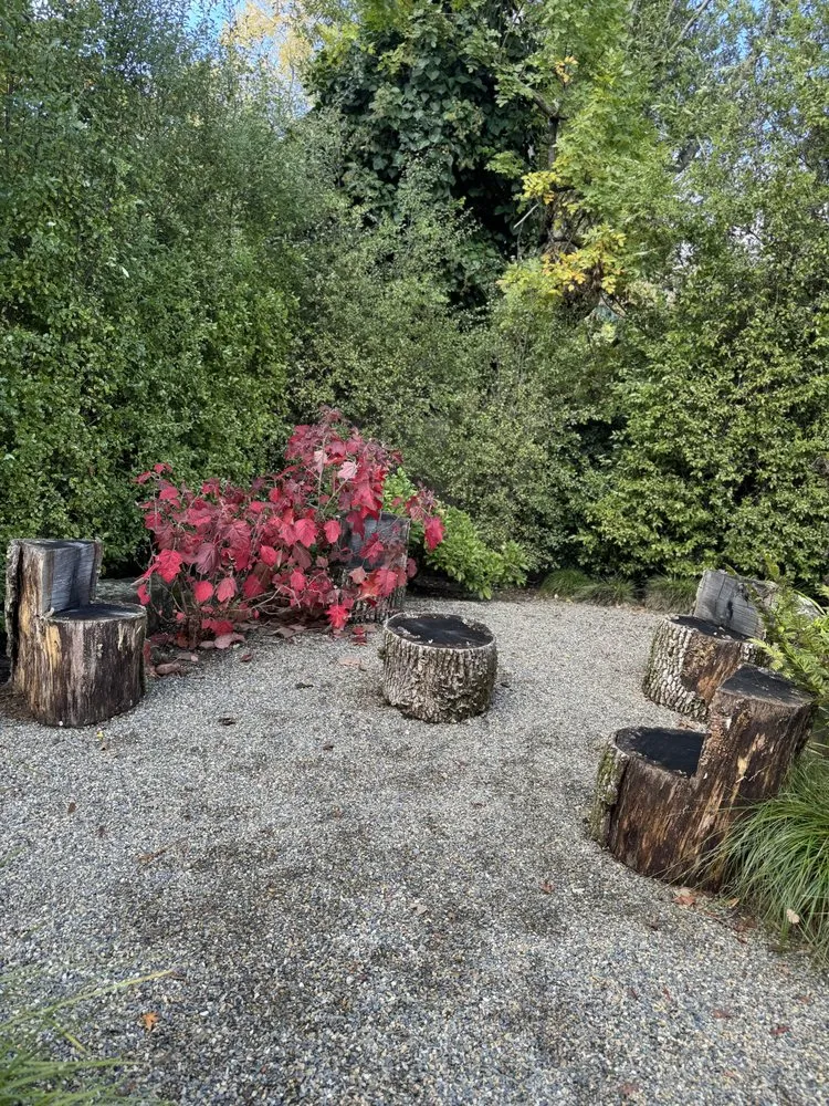 Reliable garden landscaping in San Rafael, CA - Henry Buder's Landscape Restoration