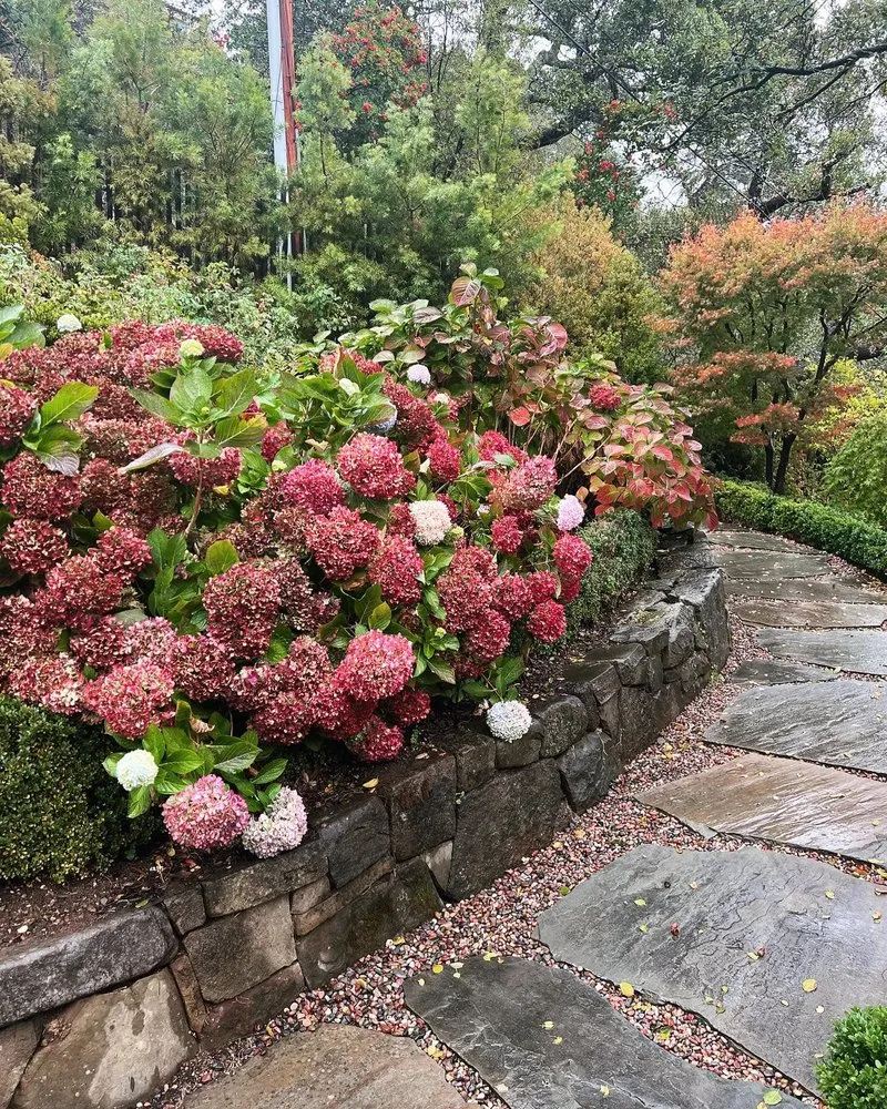 Expert residential landscaping in San Rafael, CA by Henry Buder's Landscape Restoration
