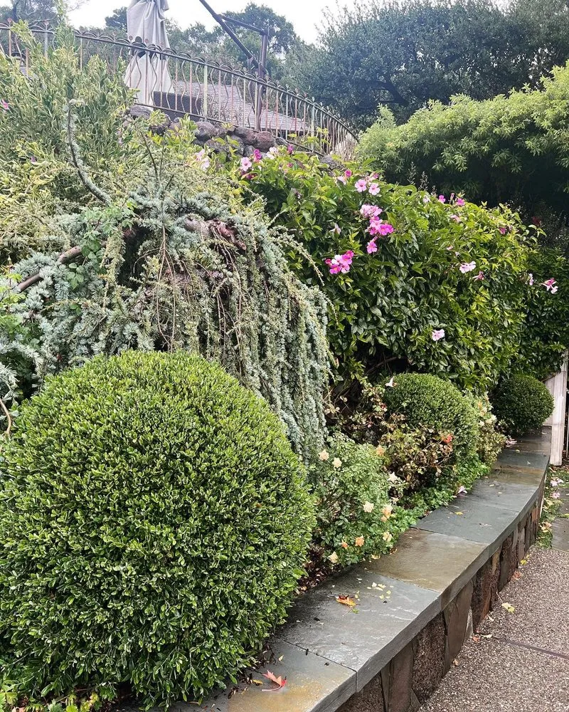 Affordable residential landscaping experts serving San Rafael, CA - Henry Buder's Landscape Restoration