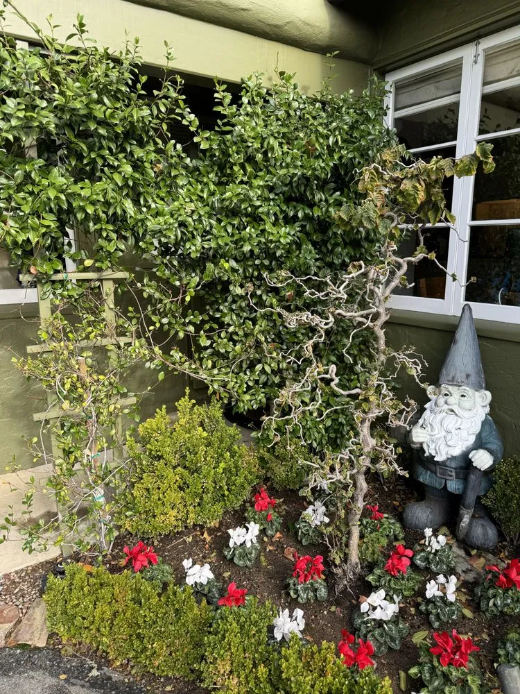 Reliable lawn mowing service in San Rafael, CA by Henry Buder's Landscape Restoration