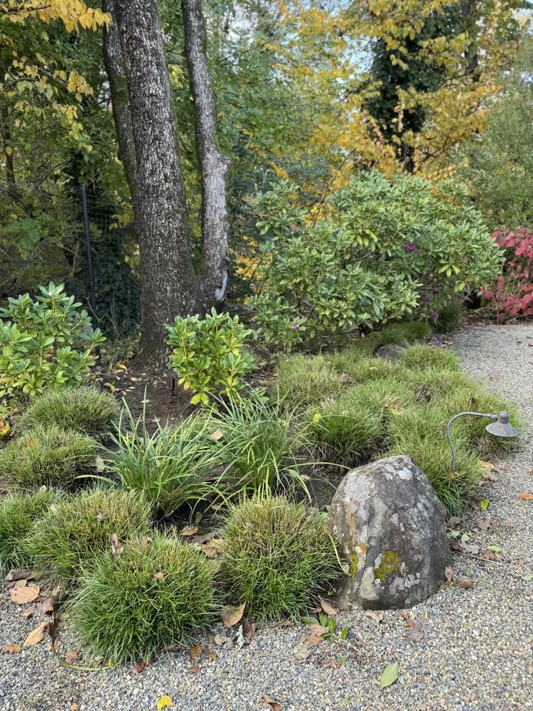 Affordable landscape design experts serving San Rafael, CA - Henry Buder's Landscape Restoration