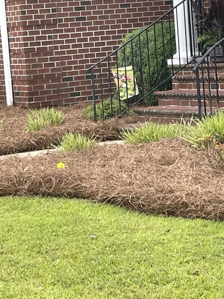 Trusted lawn care service in Wilson, NC - Henry Burger Landscaping and Lawn services