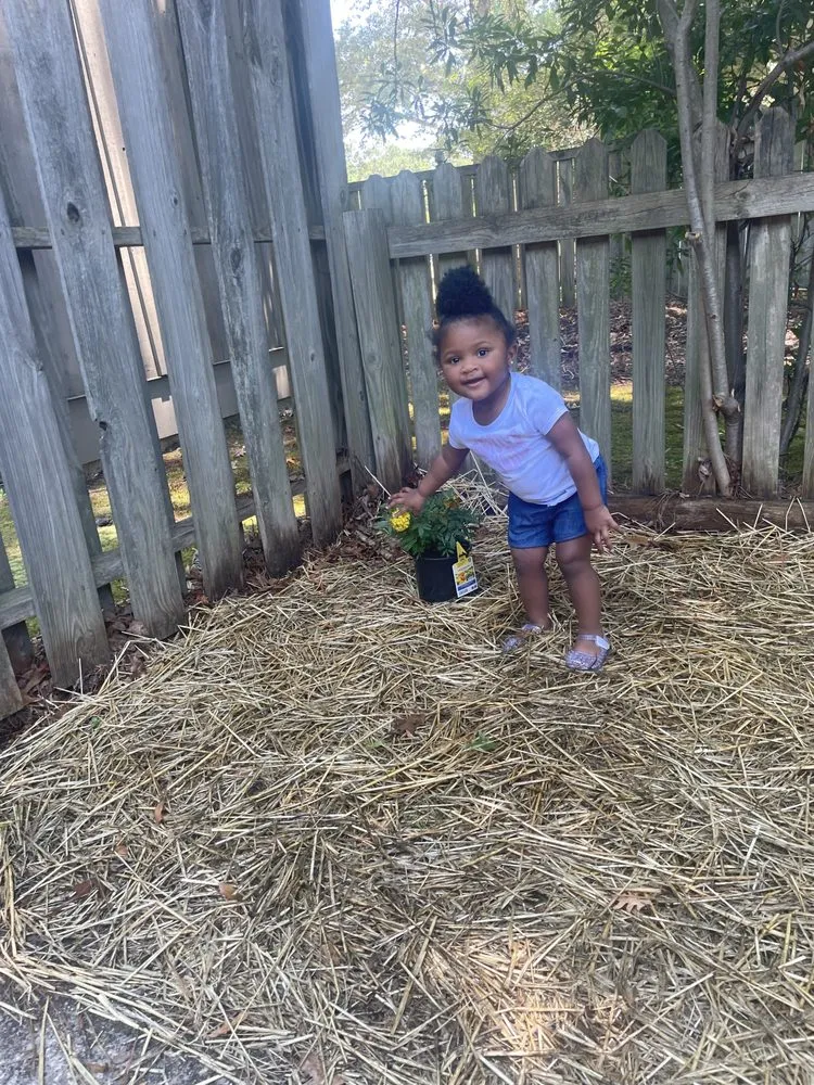 Custom landscape design in Wilson, NC by Henry Burger Landscaping and Lawn services