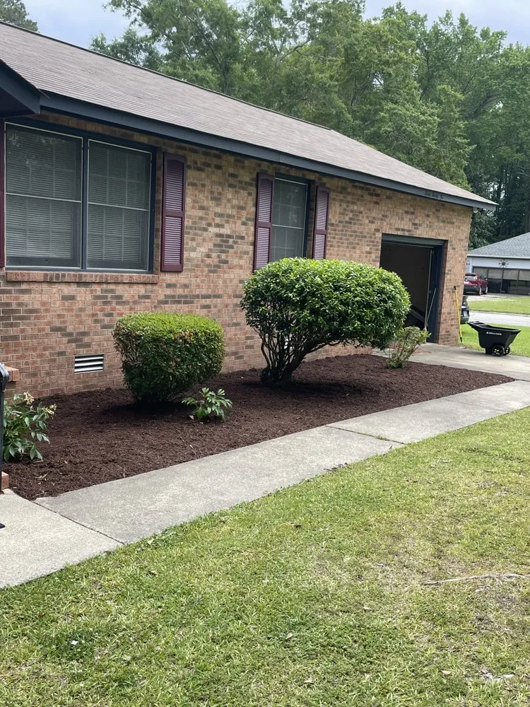 Expert yard cleanup service in Wilson, NC - Henry Burger Landscaping and Lawn services