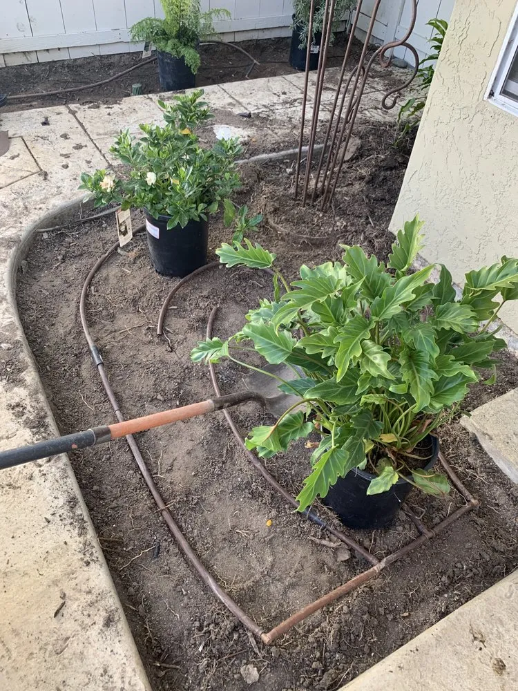 Top-rated landscaping services in Menifee, CA by Henry construction & landscaping