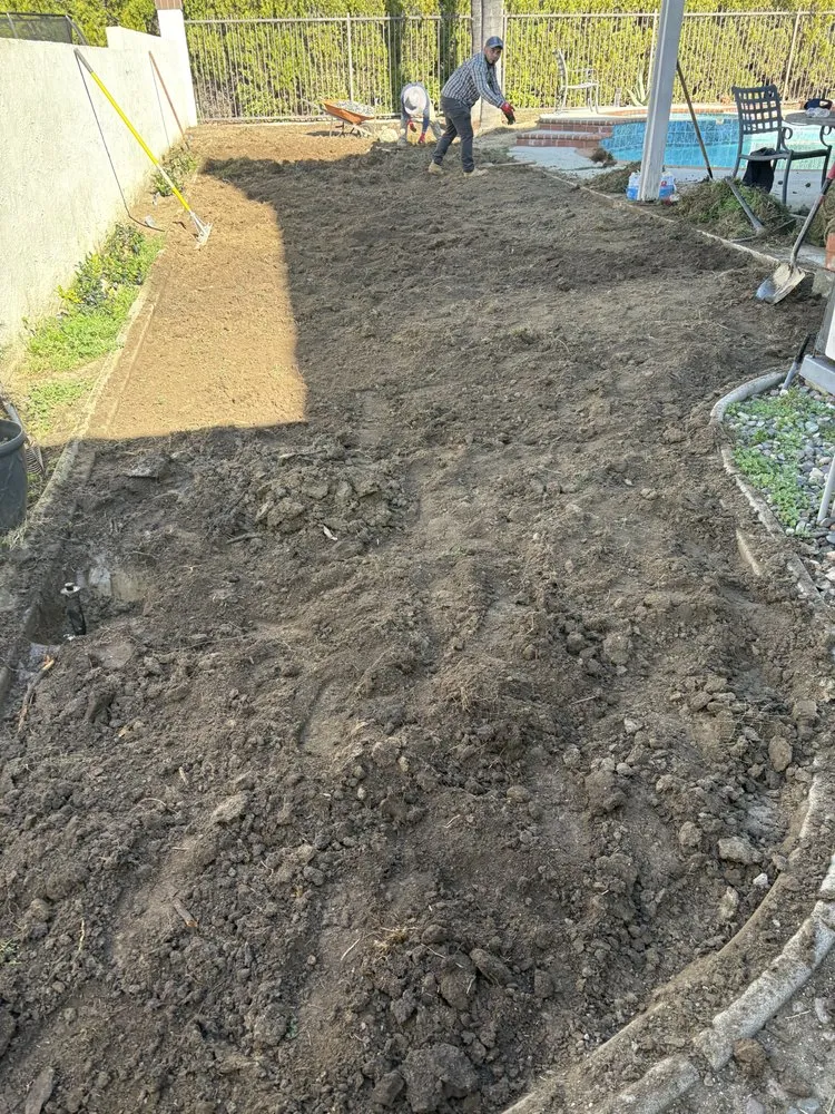 Professional lawn care service for residential properties across Menifee, CA - Henry construction & landscaping