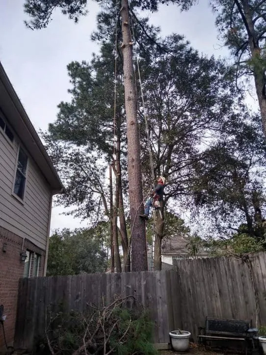 Expert garden landscaping for residential properties across Highlands, TX - Henry Gardening