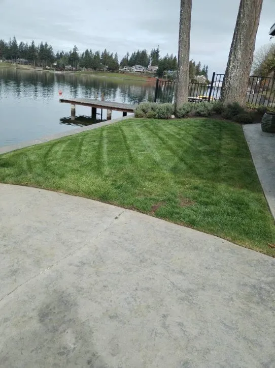 Local landscaping services for beautiful yards in Highlands, TX by Henry Gardening