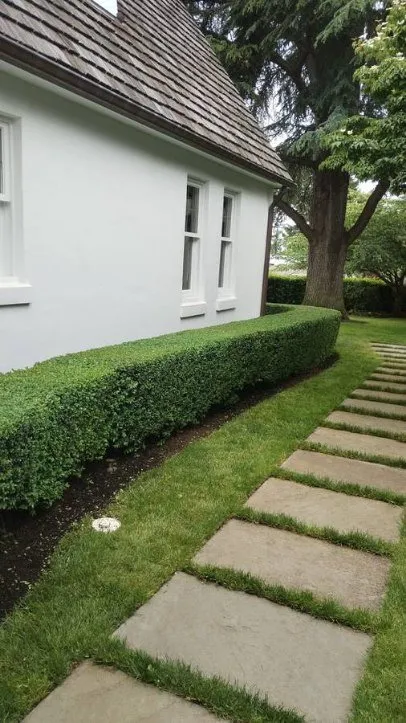 Affordable yard cleanup service for year-round maintenance across Highlands, TX - Henry Gardening