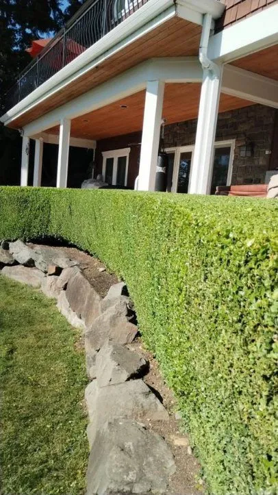 Custom landscape design in Highlands, TX by Henry Gardening
