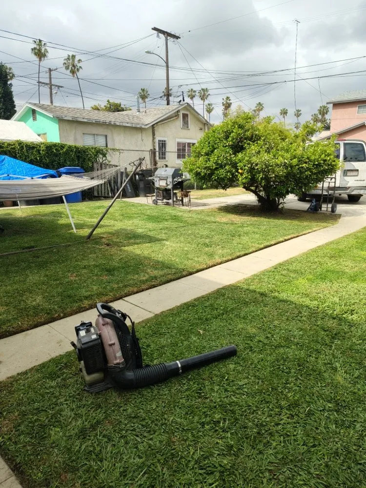 Affordable garden landscaping in Los Angeles, CA by Henry Gardening