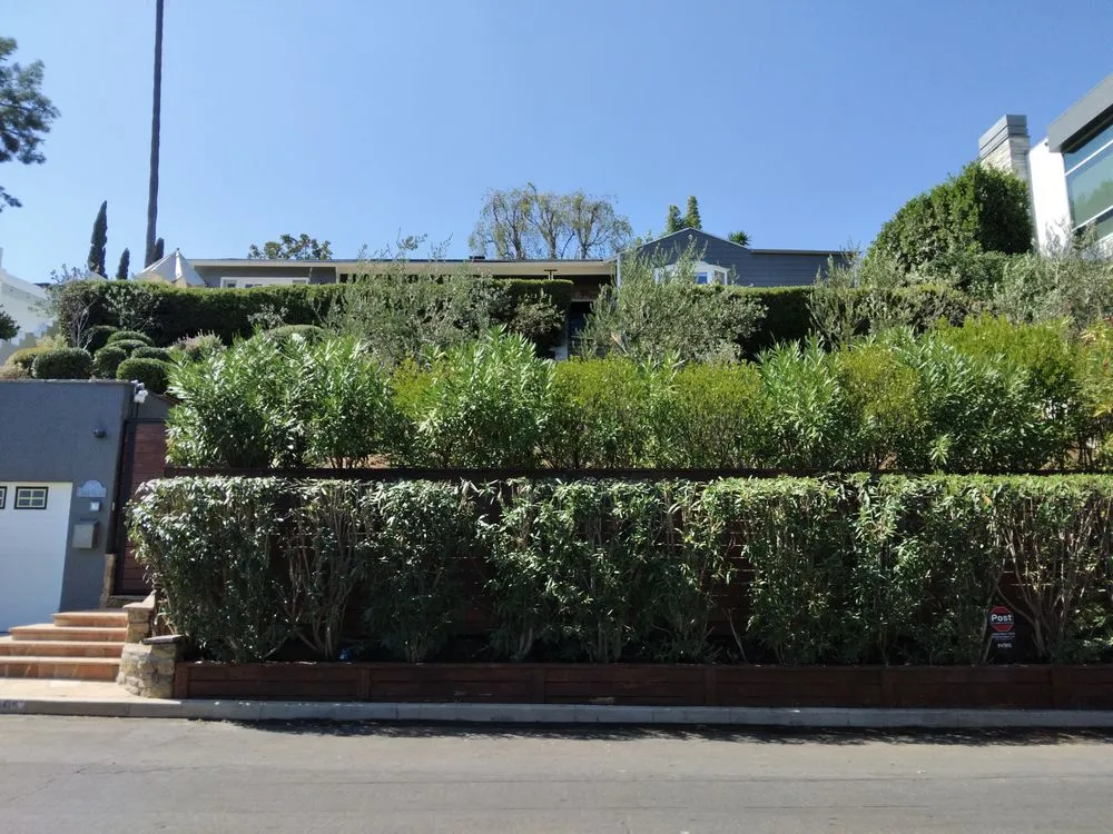 Trusted landscape installation in Los Angeles, CA by Henry Gardening