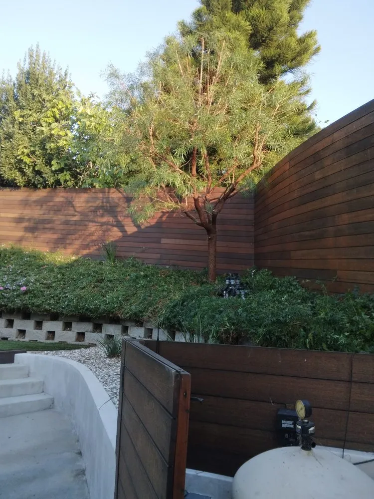 Top-rated yard cleanup service with custom design across Los Angeles, CA - Henry Gardening
