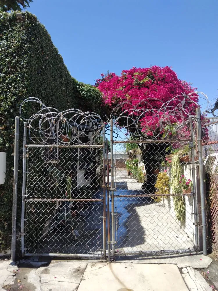 Affordable landscape design in Los Angeles, CA - Henry Gardening