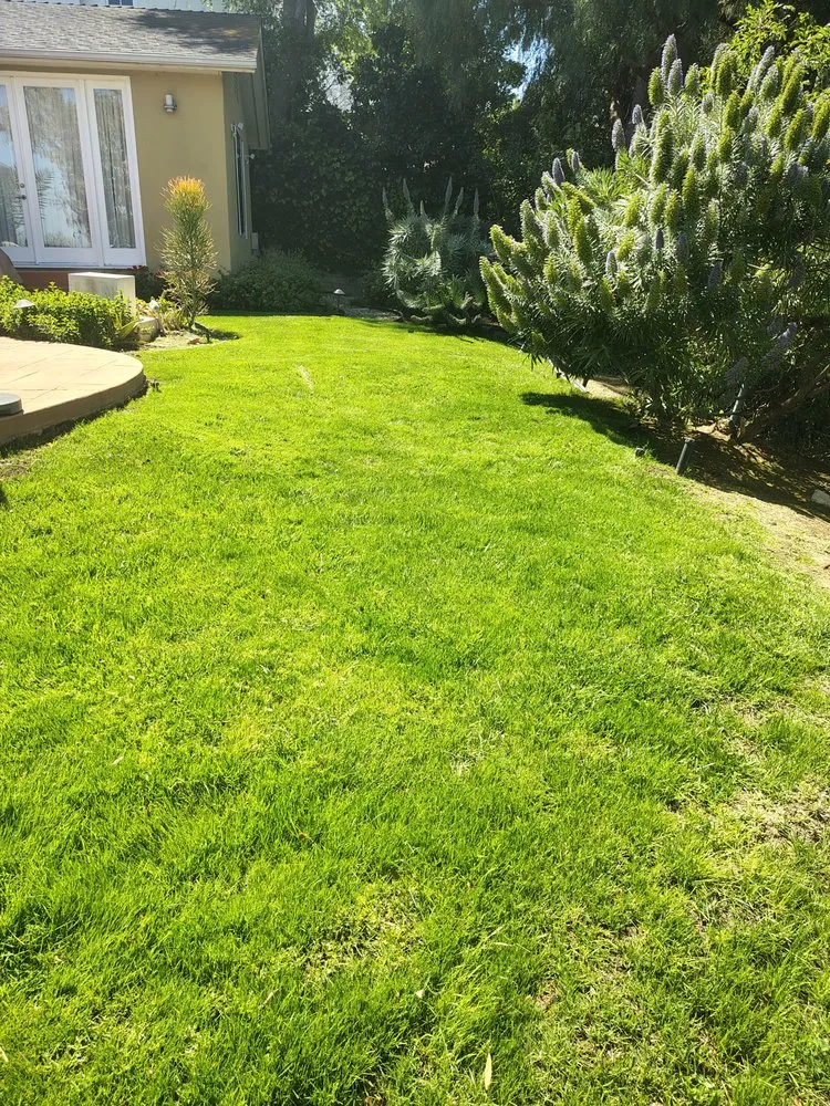 Reliable lawn mowing service for outdoor upgrades in Los Angeles, CA by Henry Gardening