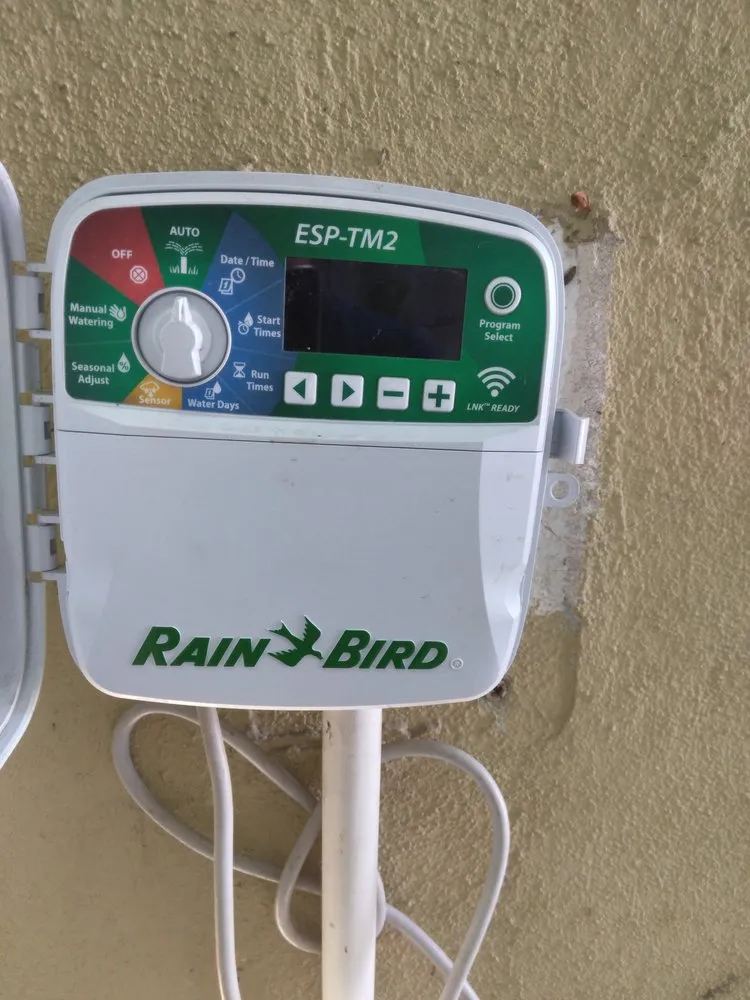 Local yard cleanup service with custom design across Los Angeles, CA - Henry Gardening