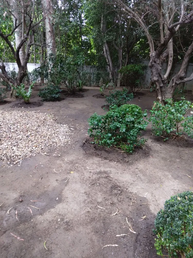 Affordable landscape design for beautiful yards in Los Angeles, CA by Henry Gardening